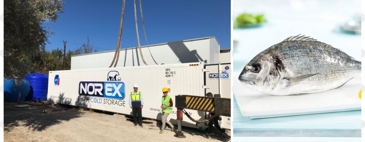Leader aquaculture firm leased our mobile cold storage container for long term.