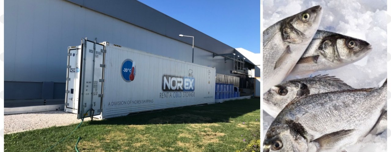 Fish Producer Firm solved their -18 C cold storage needs with Norex.