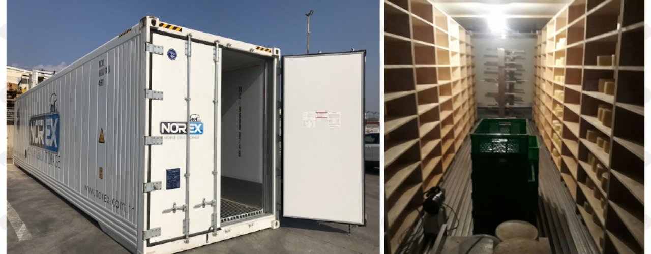 Mozzarella Peynir Üretimi  Yapan Müşterimiz Norex Mobil Soğuk Hava Konteynerini Kiraladı