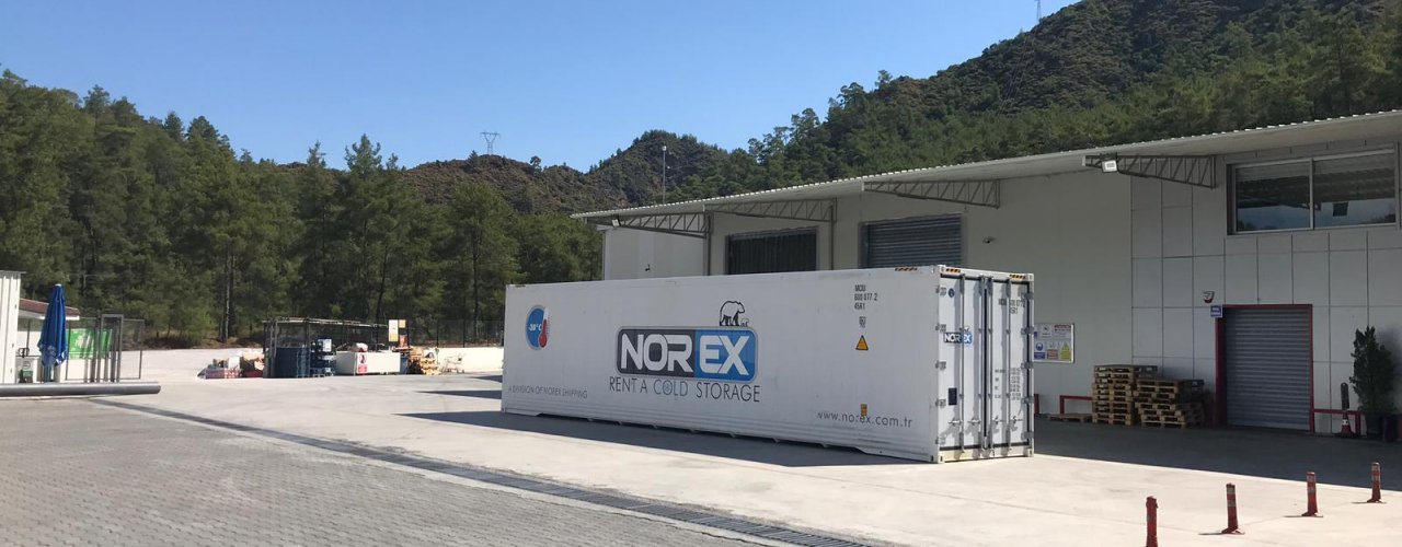 Leader Whole Sale Food Firm leased Norex Mobile Cold Storage Container